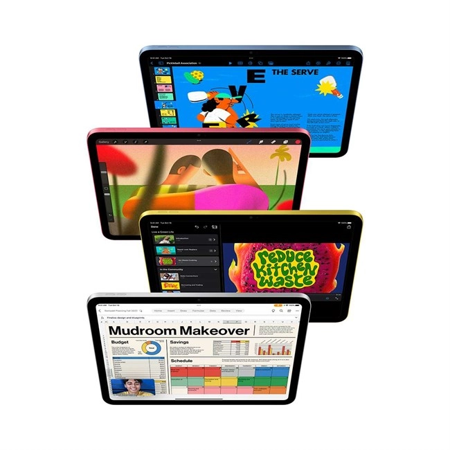 iPad 10 WiFi + Cellular