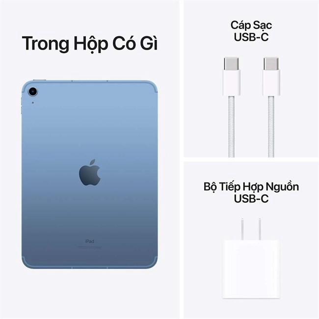 iPad 10 WiFi + Cellular